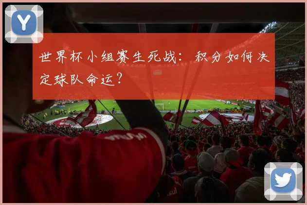 世界杯小组赛生死战：积分如何决定球队命运？