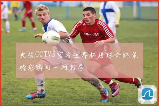 央视CCTV5官方世界杯进球全纪录 精彩瞬间一网打尽