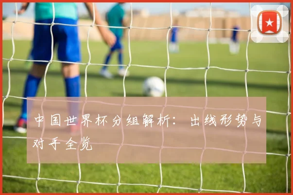中国世界杯分组解析：出线形势与对手全览