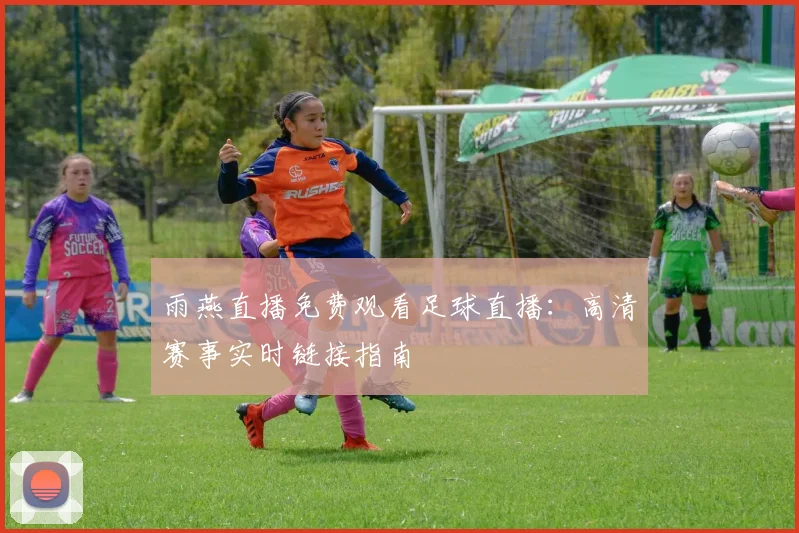 雨燕直播免费观看足球直播：高清赛事实时链接指南